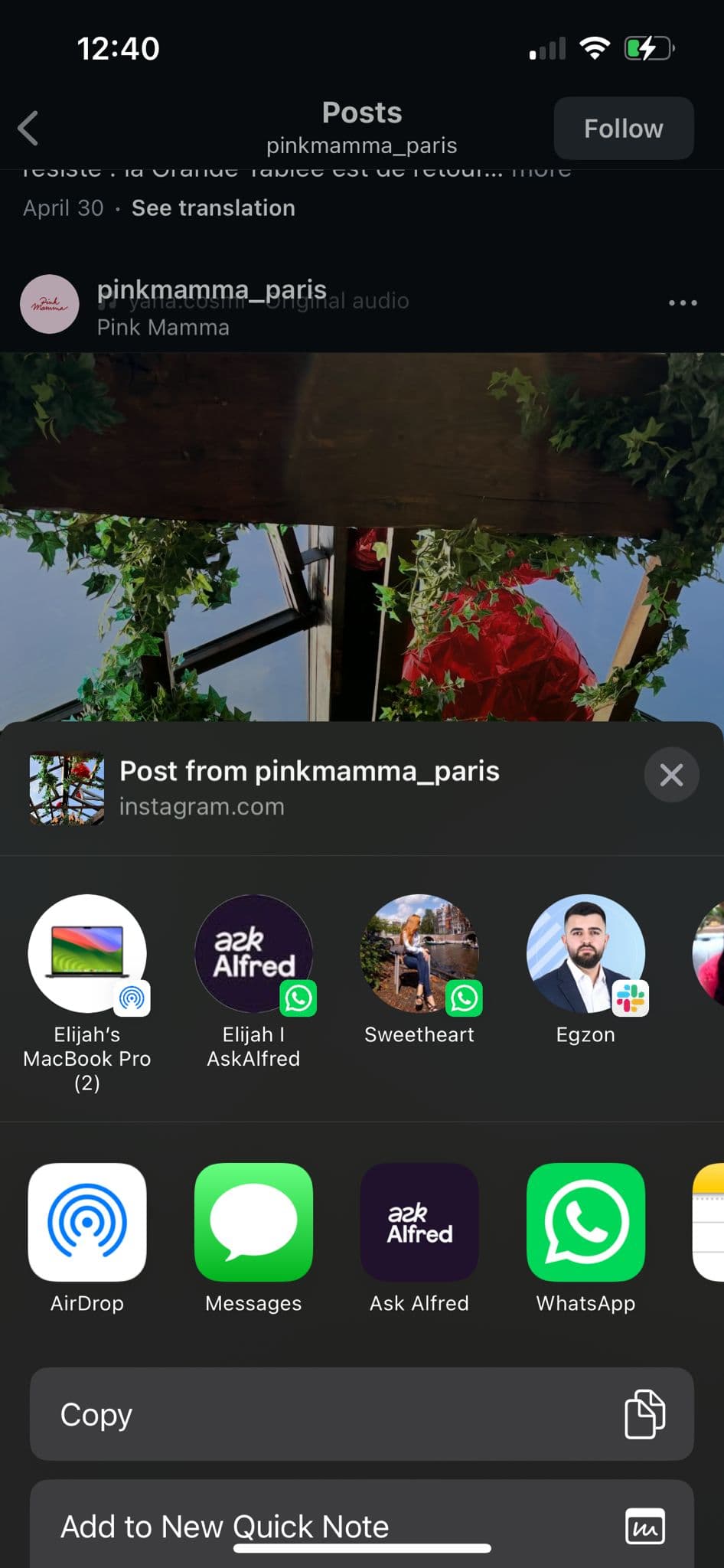 Share an Instagram post to Alfred from the iOS share sheet